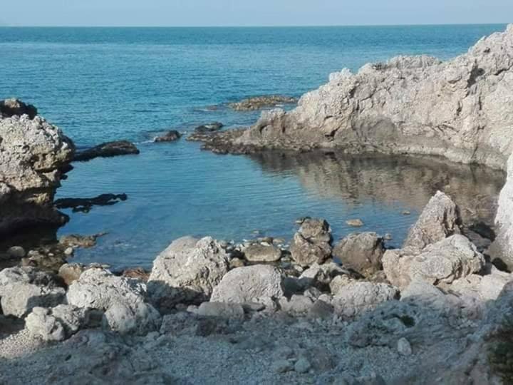 Przyroda w pobliżu tego domu wakacyjnego