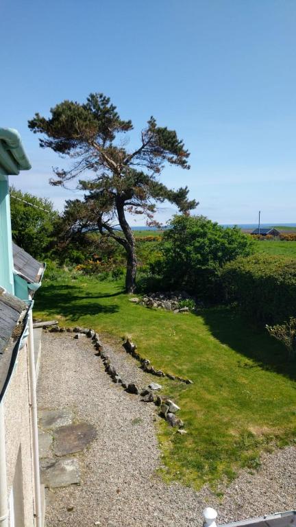 Auchencairn Cottage