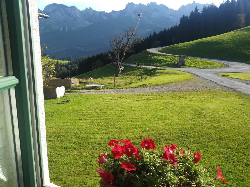 a window with a view of a field with red flowers at Ferienwohnung Unterdürmoos in Annaberg im Lammertal