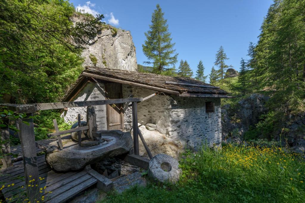 Příroda nedaleko motelu
