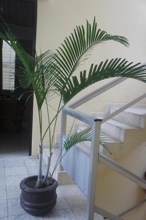 Postel nebo postele na pokoji v ubytování Suites San Luis