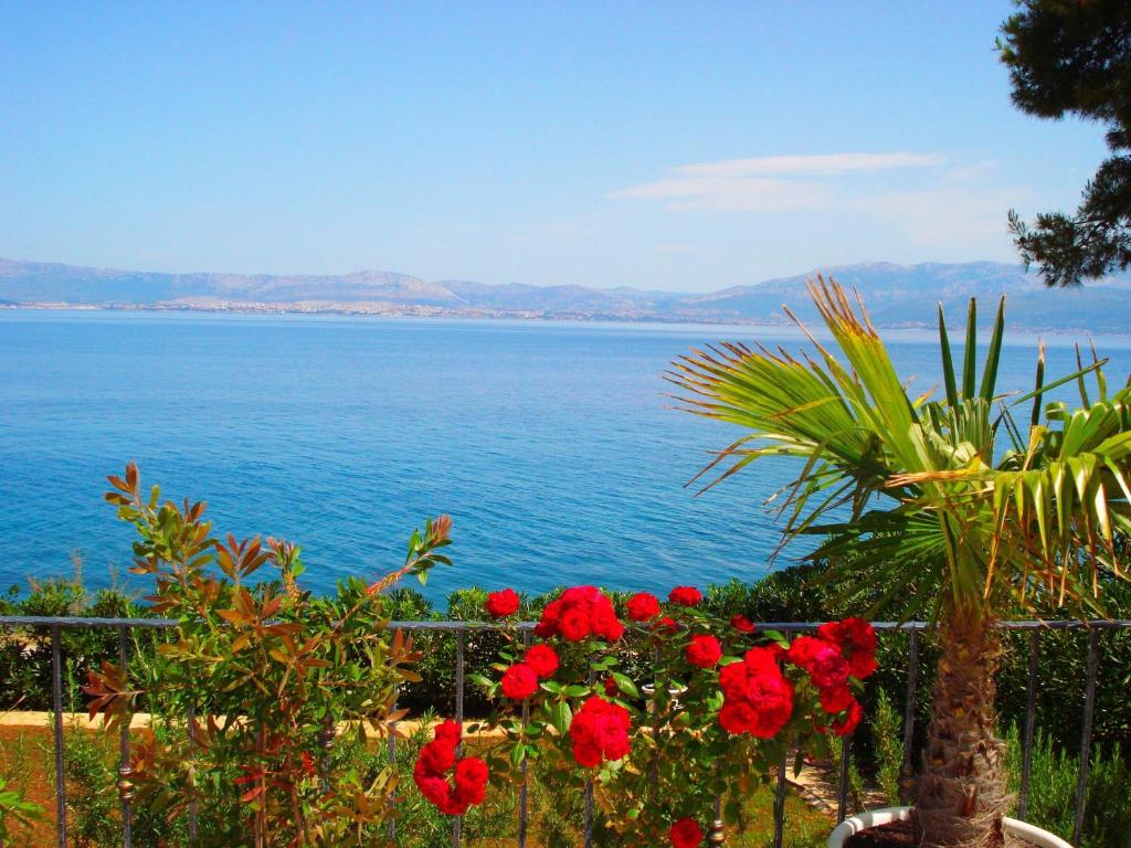 a view of the ocean from a garden with red flowers at Sea Star Apartment in Sutivan