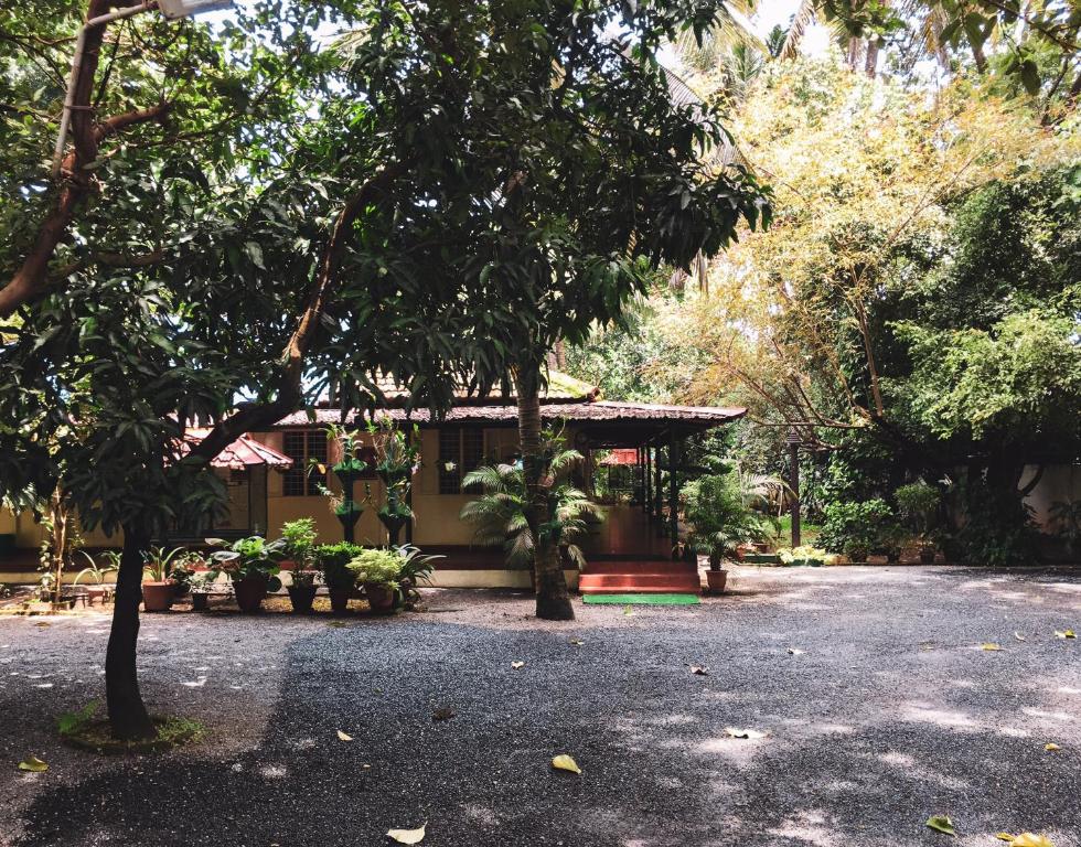 Zahrada ubytování Palm Grove Service Villa