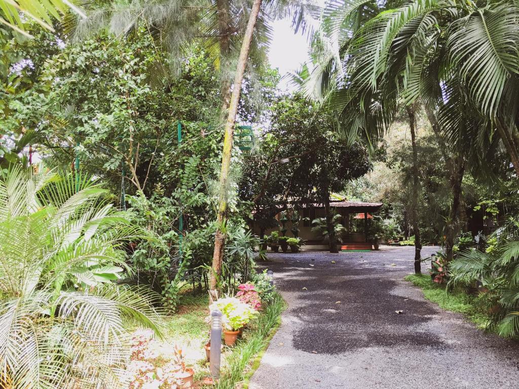 Zahrada ubytování Palm Grove Service Villa