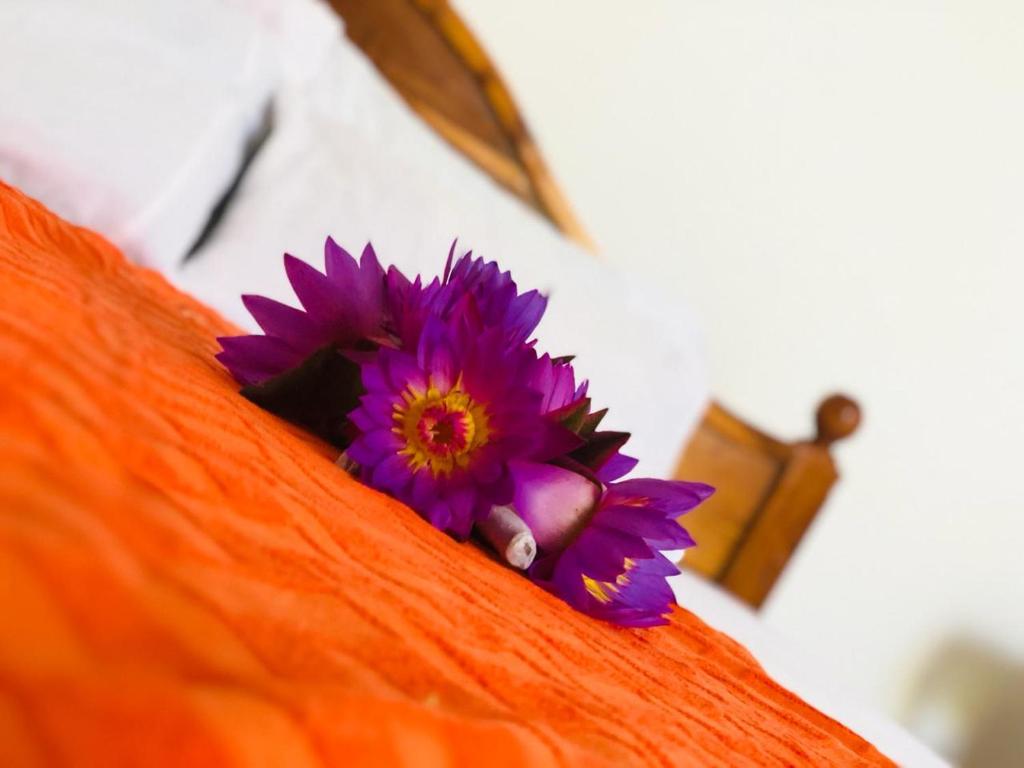 a purple flower sitting on top of an orange at Samanala Resort in Matara