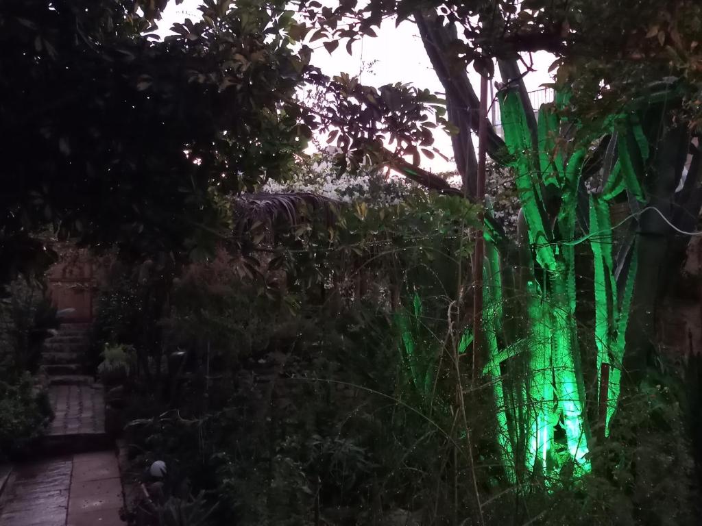 Zahrada ubytování Mystery Garden Guest House