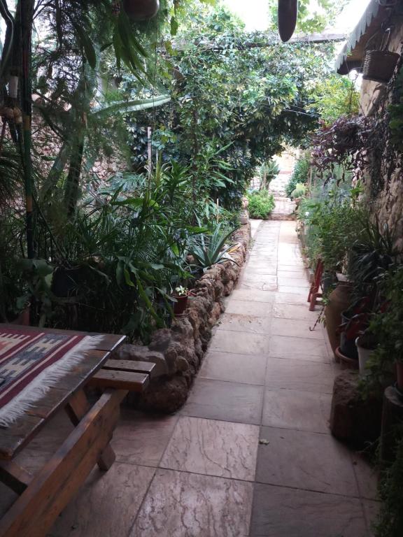 Zahrada ubytování Mystery Garden Guest House