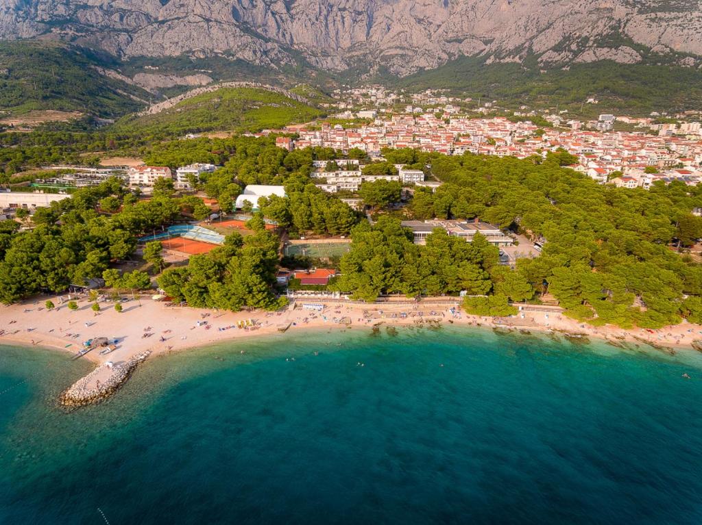 
a large body of water with palm trees at Rivijera Sunny Resort by Valamar in Makarska
