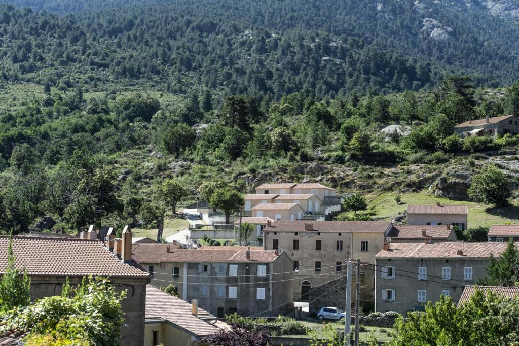 a city with buildings and a mountain in the background at Terrasse de Malbeccu in Casamaccioli