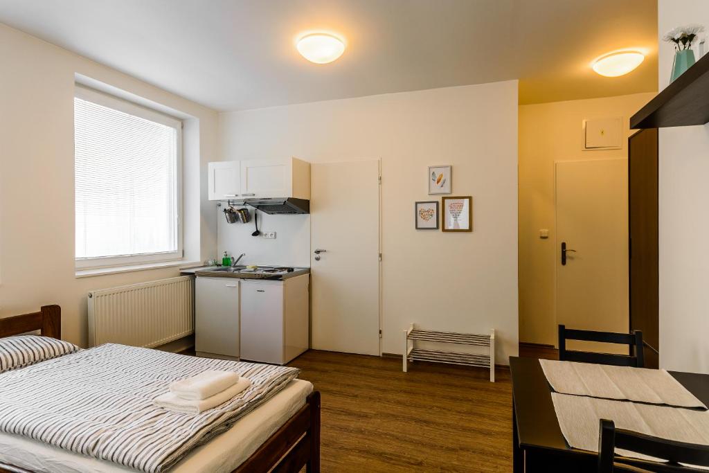 Žižkov Cosy Studio Apartments - Studio Apartment