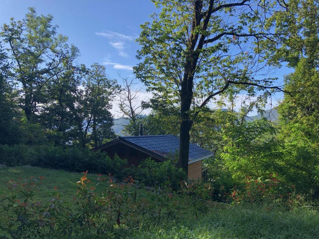 a house in the middle of a field with trees at Rifugio Nel Bosco in Astano