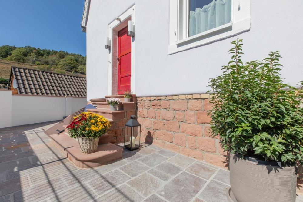 a house with two potted plants and a red door at Ferienhaus Palatini in Lindenberg