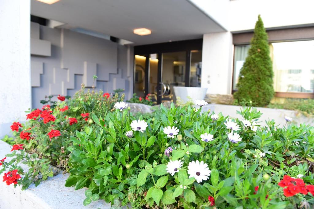 Zahrada ubytování Hotel Töss