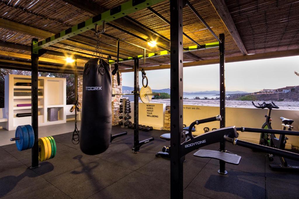 Fitness centrum a/nebo fitness zařízení v ubytování Paros Agnanti Resort & Spa