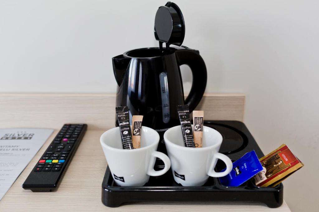 Hotel Silver - Resim 13