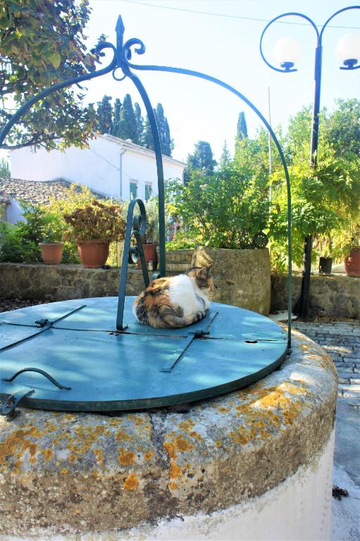 A garden outside Traditional house in Corfu, kouramades vlg
