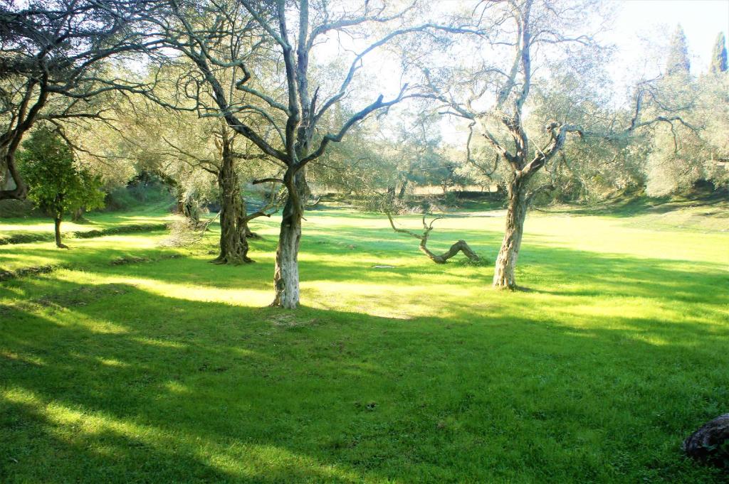 A garden outside Traditional house in Corfu, kouramades vlg