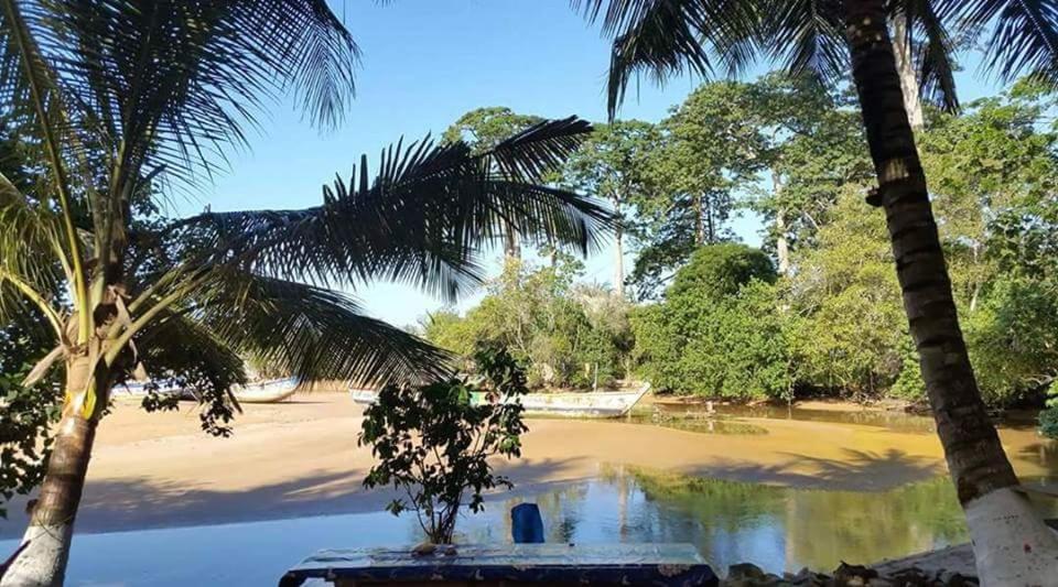 einen Park mit Palmen und einem Pool mit Wasser in der Unterkunft Scorpion Hill Lodge in Busua