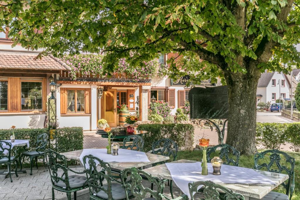 Zahrada ubytování Hotel - Landgasthof Rebstock