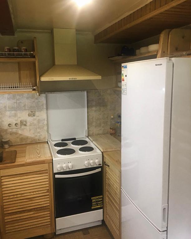 Kuchyň nebo kuchyňský kout v ubytování Гірський релакс