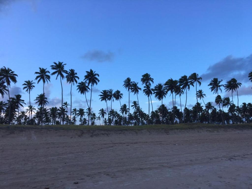  Flat Ancorar - Porto de Galinhas