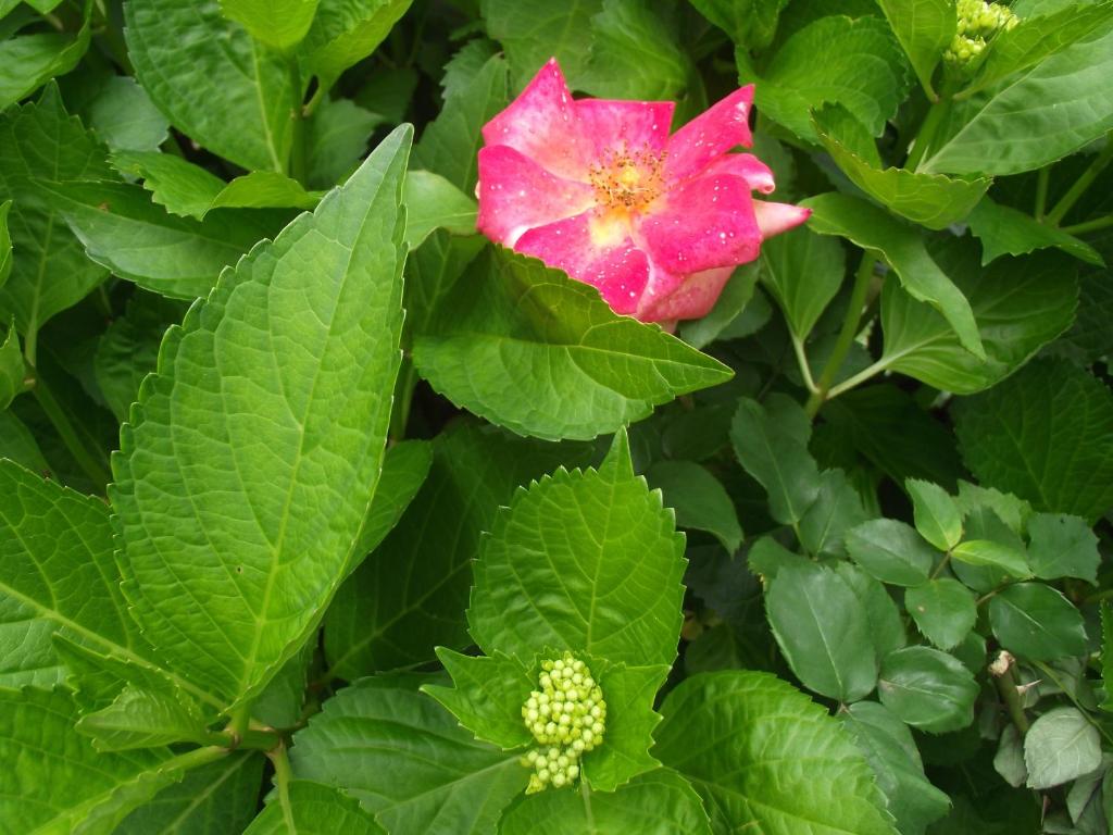 Recanto na Montanha de Gramado  Recanto na Montanha de Gramado