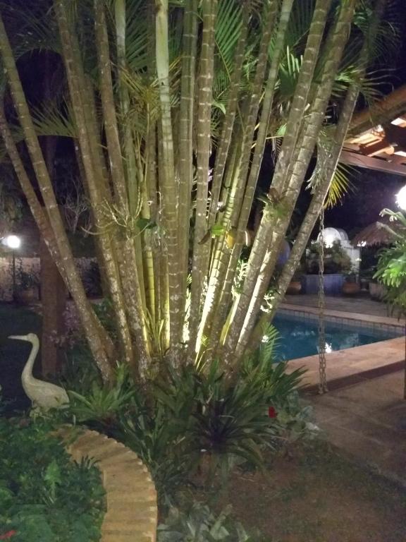  Suites em meio a Mata Atlântica