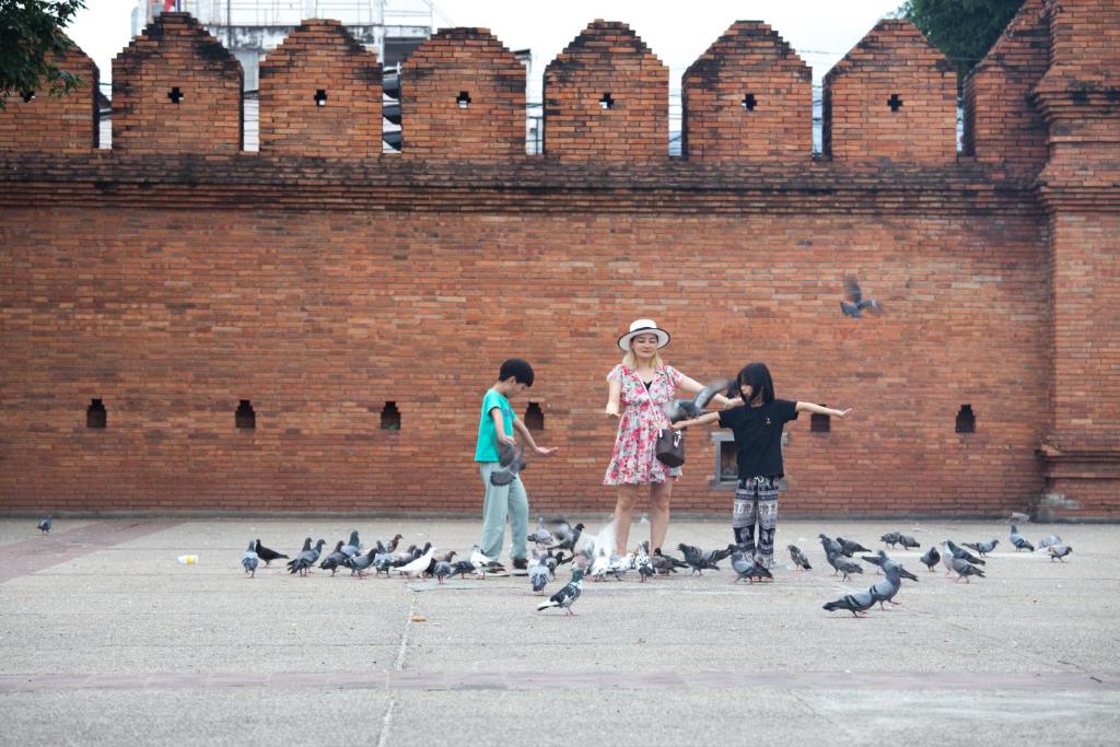 Imm Hotel Thaphae Chiang Mai - Resim 14