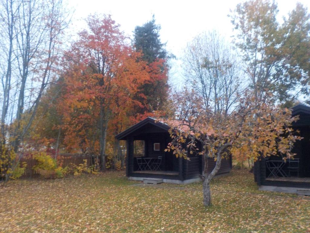 RådaにあるRåda Stugorの木の茂る庭の中にある小屋