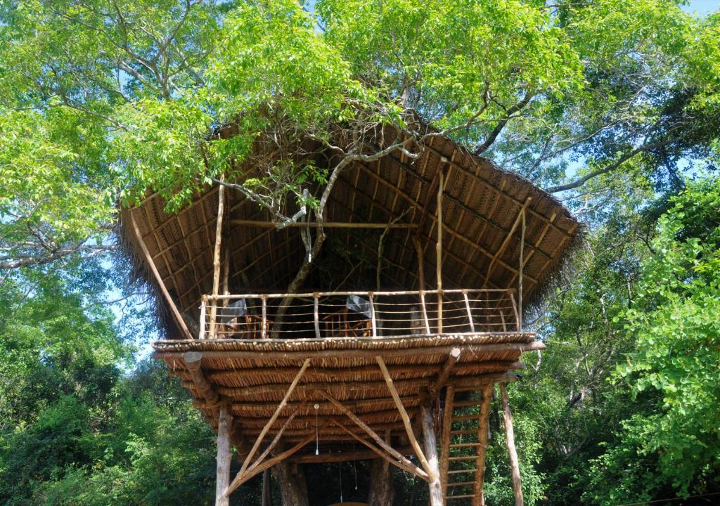 Fotografie z fotogalerie ubytování Back of Beyond - Wild Haven v destinaci Sigiriya