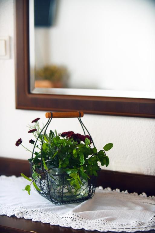 Fotografie z fotogalerie ubytování Domačija Šeruga Countryside hotel v destinaci Novo Mesto