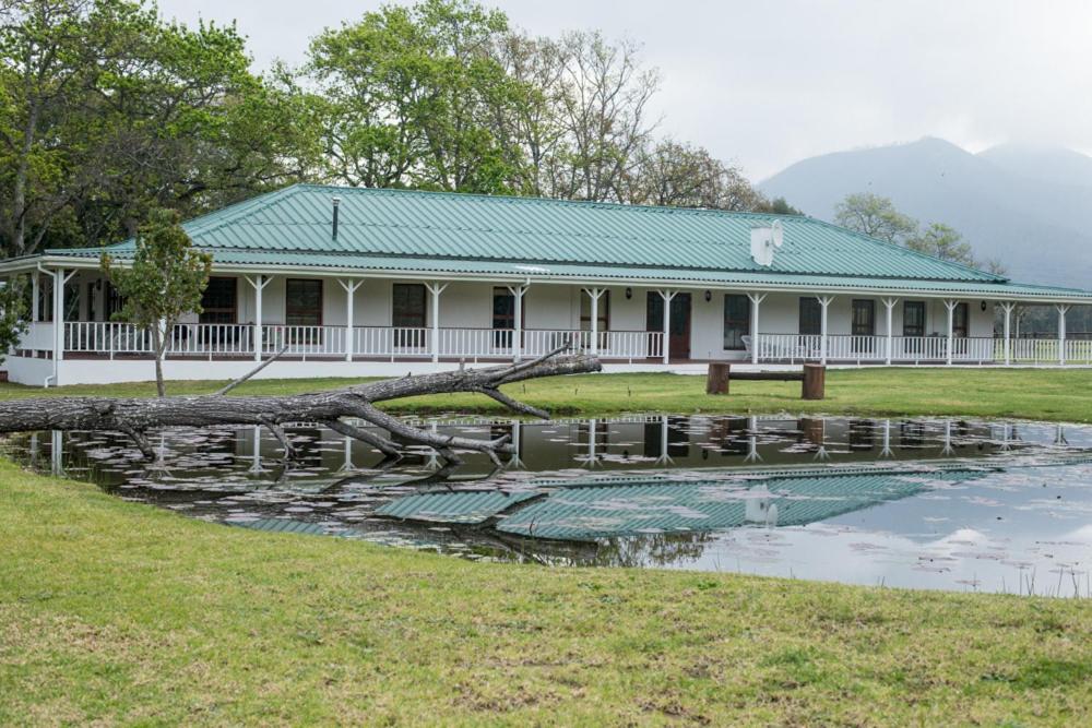 una casa con un árbol caído frente a un estanque en Valmont Estate, en Plettenberg Bay