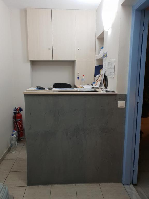 Kuchyň nebo kuchyňský kout v ubytování Villa Roussa City Center