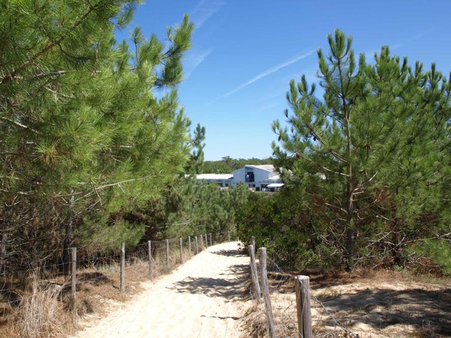 un camino de tierra con árboles y una valla en Studio CAP-OCEAN cap ferret en Cap-Ferret