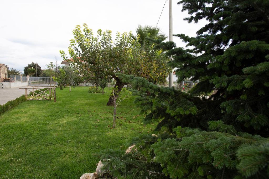 A garden outside La Casa del Gelso Fiorito