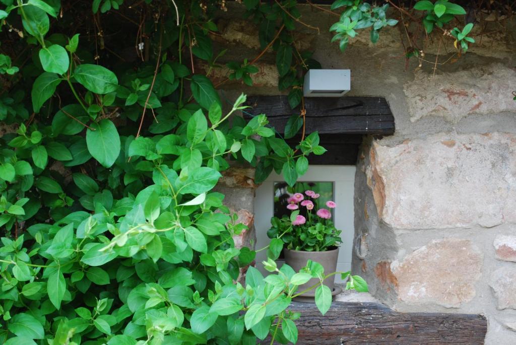Zahrada ubytování B&B Le Lodge