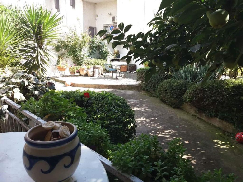 House Aleks - Housity