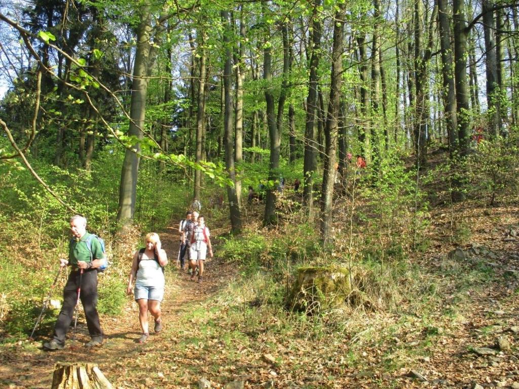 Hosté ubytování Ferienhaus Ederer