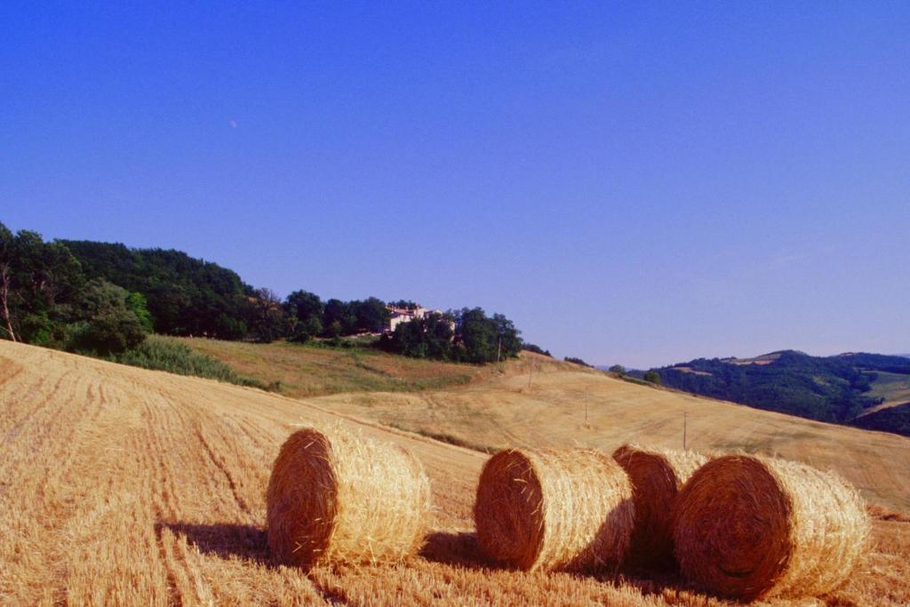 a group of hay bales in a field at Agriturismo Il Fienile di Cà Battista in Cagli