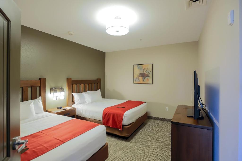 Great Wolf Lodge Chicago/Gurnee - Suite Con Due Camere Da Letto