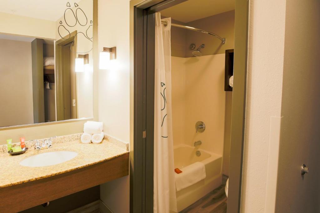 Great Wolf Lodge Chicago/Gurnee - Deluxe Queen Suite