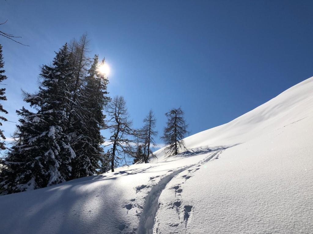 Fotografia z galérie ubytovania Haus Brunhilde v destinácii Dorfgastein