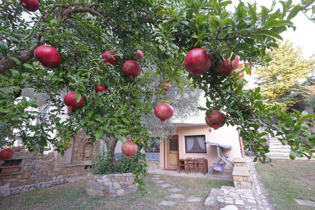 un melo con mele rosse appese ad esso di Aslanis-Souroti Garden FAMILY Suite a Sourotí