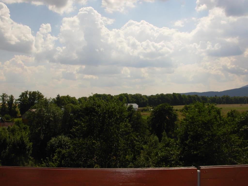 ビストシツァ・クウォツカにあるDomek letniskowyの木雲畑
