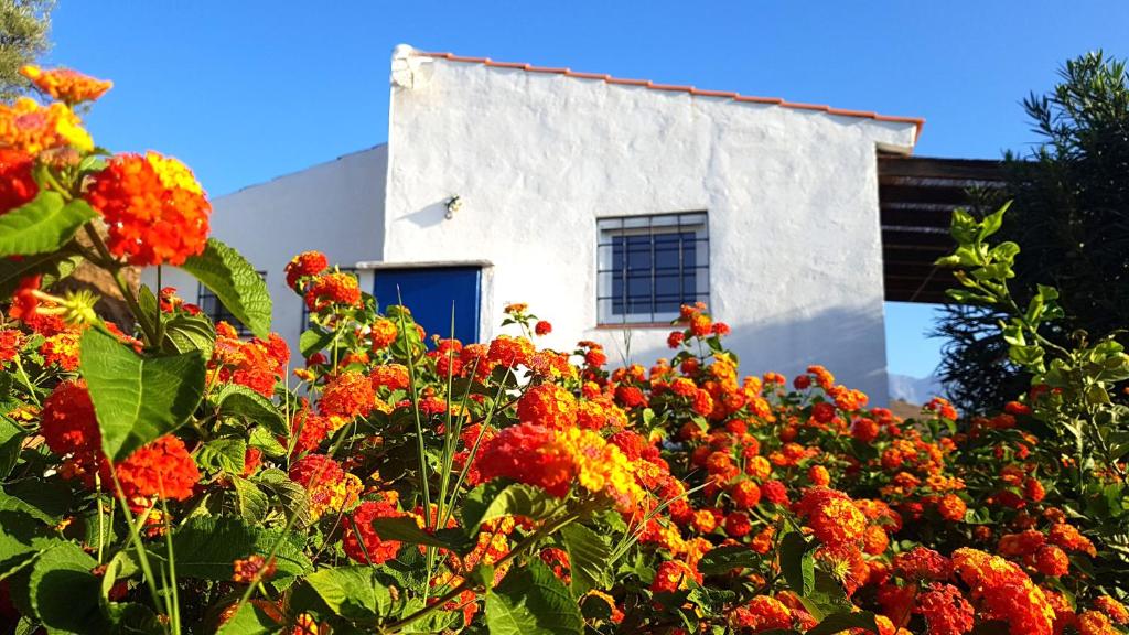 トロクスにあるLas Casitas de Felipeの白い建物