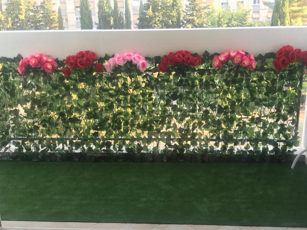 un muro de flores con rosas rojas y plantas verdes en Apartment Darko en Split