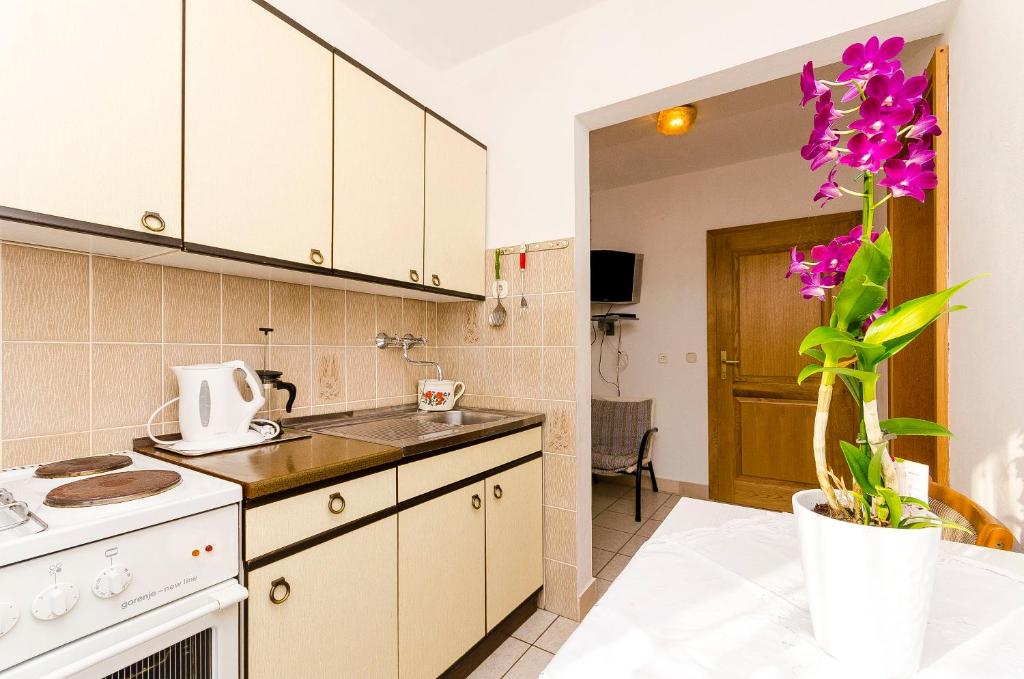 Kuchyňa alebo kuchynka v ubytovaní Apartments Rozalija