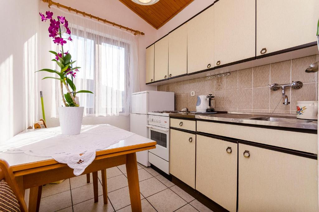 Kuchyňa alebo kuchynka v ubytovaní Apartments Rozalija