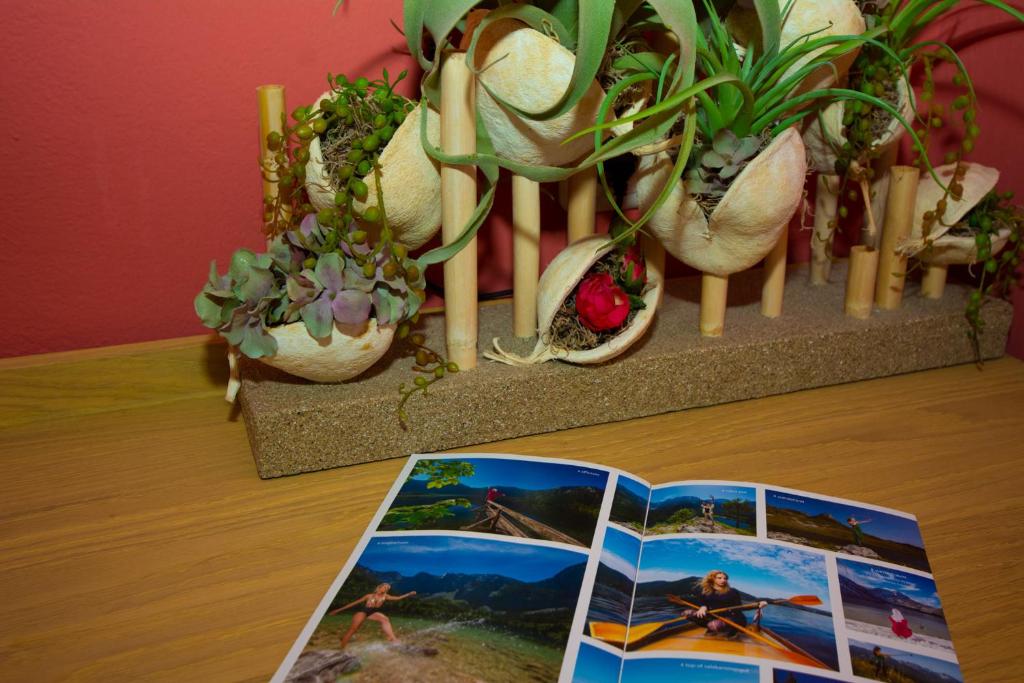Fotografie z fotogalerie ubytování Schlafmeile Traunsee v destinaci Ebensee