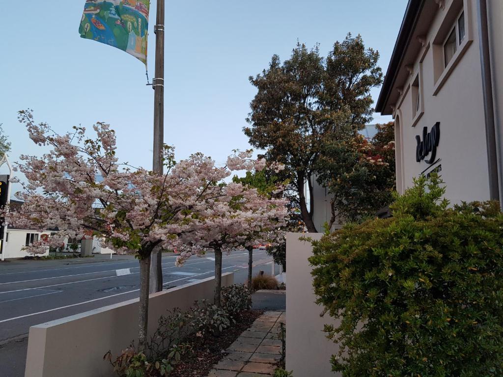 Delago Motel/Apartments - Resim 31